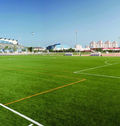 cfutbolartif-f700-g (1)