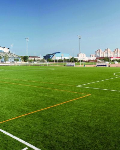 cfutbolartif-f700-g (1) cfutbolartif-f700-g (1)